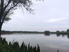 -白洋淀景区
