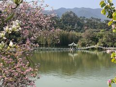 -星湖旅游景区七星岩