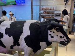 -红星前进面包牛奶公司(君太店)