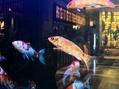 -御海8号温泉酒店