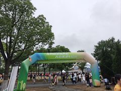 -南汇新城城市公园