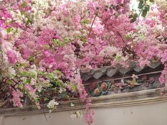 -深圳国际园林花卉博览园