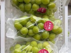 -马陆小张葡萄园农家乐