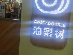 -油梨树AVOCADO TREE(望京店)