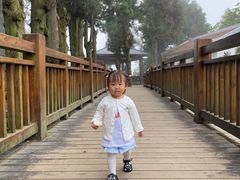 -南岳衡山风景名胜区-南岳大庙