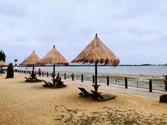 -北海金海湾红树林生态旅游区