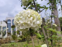 -国际非物质文化遗产博览园