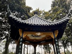 -梅园