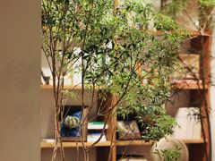 -自由生长植物工作室(深港花卉中心店)