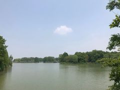 -苏州太湖国家湿地公园
