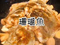 砂锅焗珊瑚鱼-炳胜品味(海印总店)