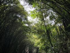 -凤栖山