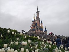 -巴黎迪士尼乐园