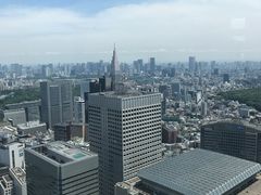 -东京都厅舍