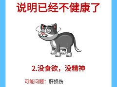 -美联众合动物医院·24h转诊中心