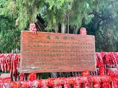 -四门塔风景区