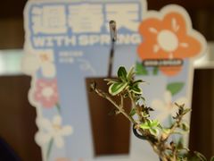 -LOTTA COFFEE(安居博文苑店)