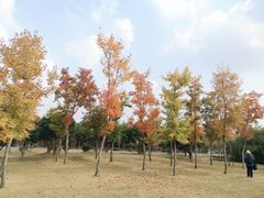 -广富林郊野公园