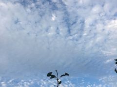 -洨河生态公园