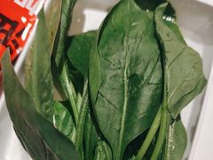 -宏姐串串香(征仪路店)