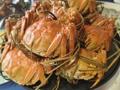 阳澄湖大闸蟹-火福·天湖阁大闸蟹博物馆主题餐厅(浅水湾店)