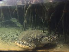 -苏州海洋馆