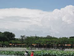 -顺峰山公园