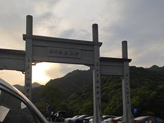 -龙坞茶村