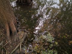 -高子水居