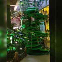 -恐龙探索乐园(磁器口店)