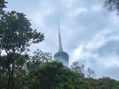 -梧桐山风景名胜区