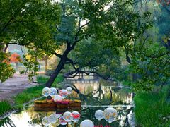 -上海共青森林公园