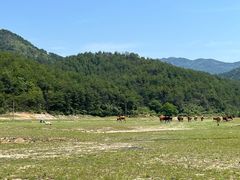 -木兰云雾山