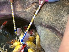 -鸿通城购物中心