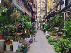 -循礼门鲜花花市(武汉循礼门店)