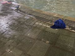 -南宫温泉水世界