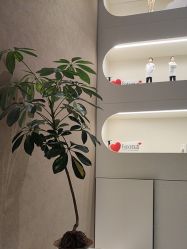 -丽都整形美容医院·全国连锁旗舰店