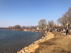 -丁香湖公园
