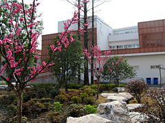花园-上海市嘉定区中医医院
