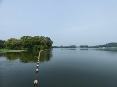 -大兴滨河森林公园