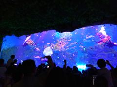 -芜湖新华联大白鲸海洋公园