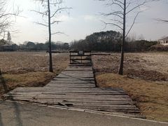-梁鸿国家湿地公园