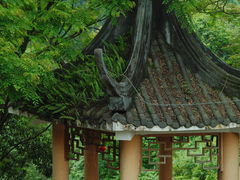 -香桥岩溶国家地质公园