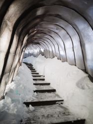 -大秃顶子山