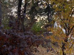 -长春市南湖公园