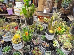 -双季花艺园艺市场(浦东店)