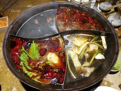 -白乐天毛肚火锅馆(南滨路店)