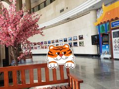 -青岛市博物馆