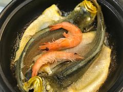 黄花鱼-勝記酒家·37年老字号·经典粤菜(荔枝公园店)