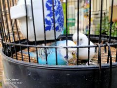 -丽江庭院之丽江往事(安定门店)